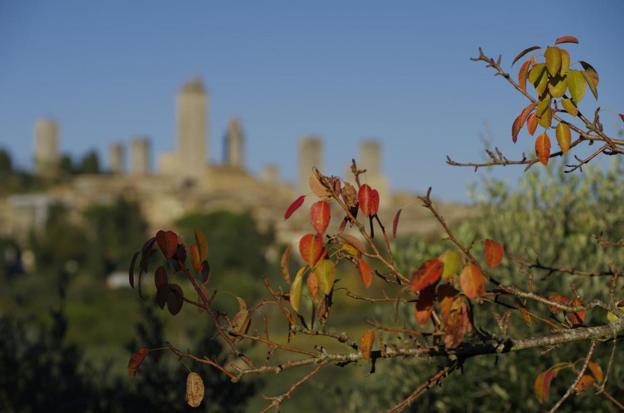 Il Borgo Antico Leilighet San Gimignano Rom bilde